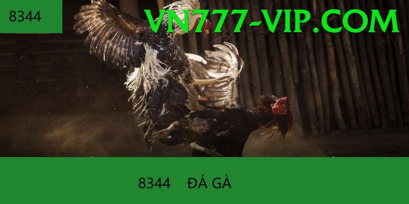 Trường Đấu Đá Gà Chuyên Nghiệp - Game NFT